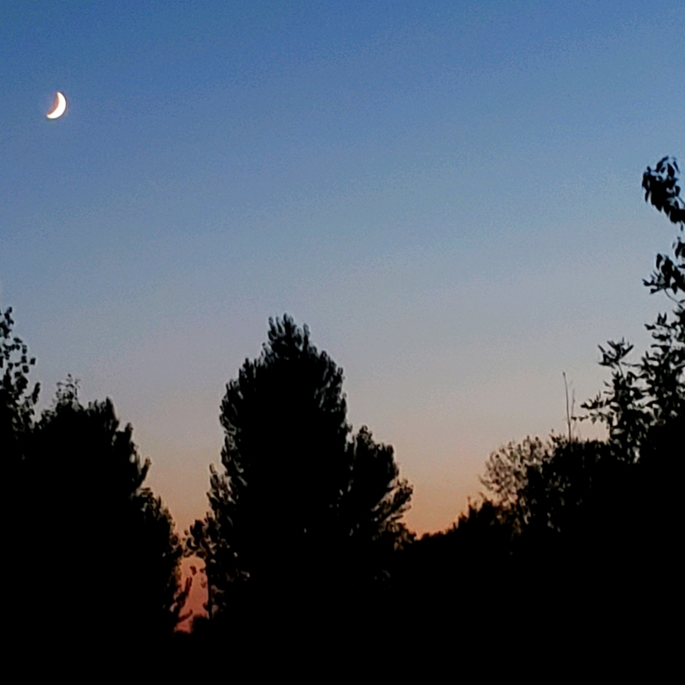 Meet your Posher, Yi